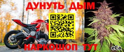 ГАЛЛЮЦИНОГЕННЫЕ ГРИБЫ Можга