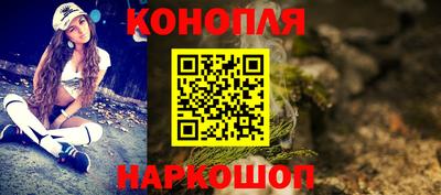 гашик Моздок