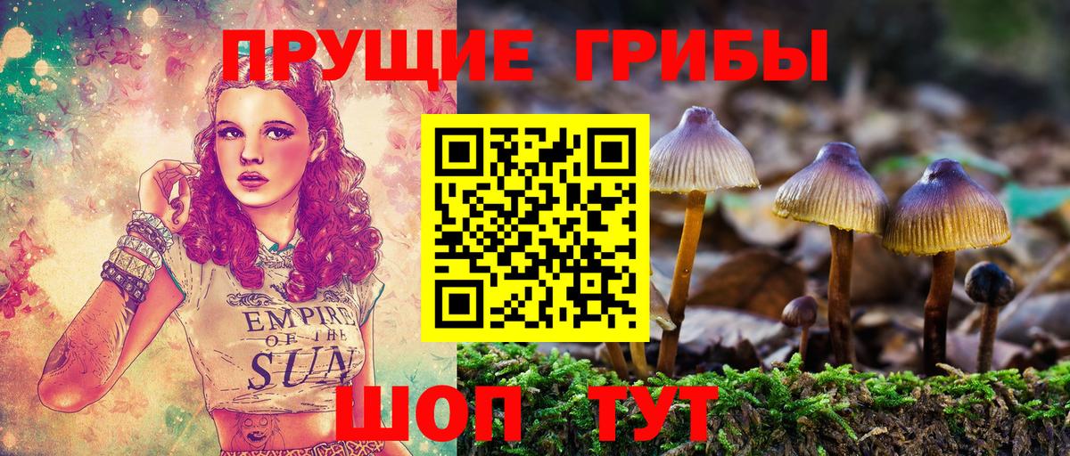 Будённовск  Псилоцибиновые грибы ЛСД  Вход с VPN  Галлюциногенные грибы ЛСД 