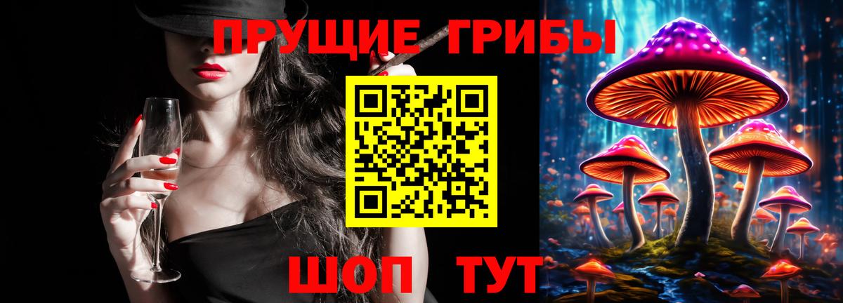 Галлюциногенные грибы ЛСД  Будённовск 